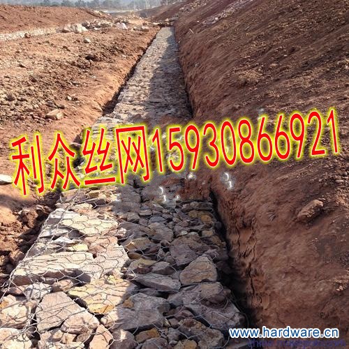 100014388802_14177408436314_conew1