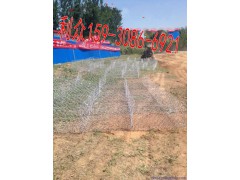 生态护岸格宾垫 镀锌铝合金格宾网垫 8*10格宾笼图1