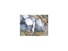 黄江高价回收塑胶、水口料欢迎来电13580814329图1