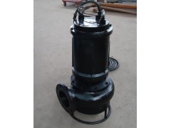 工厂化工池排污泵、泥浆泵图1