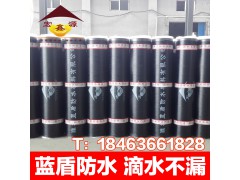 SBS改性沥青防水卷材 APP 聚酯胎国标  黄沙片岩铝箔图1