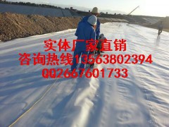 【按要求定做】开封莲藕种植专用膜/种藕防渗土工膜图1