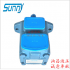美国SUNNY叶片泵45V75A-1C22R 1A 1B