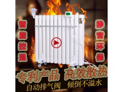 加水电暖器省电节能电加热取暖器加水电暖气片家用智能注水暖气片图1