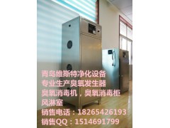 保定食品厂臭氧消毒机生产厂家图1
