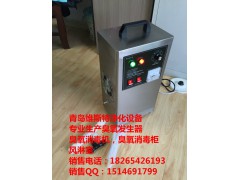 廊坊食品厂臭氧消毒机生产厂家图1