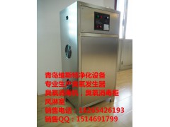 晋城食品厂臭氧消毒机生产厂家图1