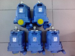 PVQ13-A2R-SE1F-20-CM5-12图1