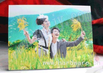 u=2484984636,790619851&fm=23&gp=0