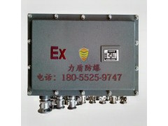 BSG系列防爆配电柜防护柜图1