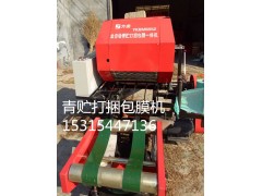 广东厂家生产可靠捡拾打捆于一体的青储打捆包膜机方盛机械图1