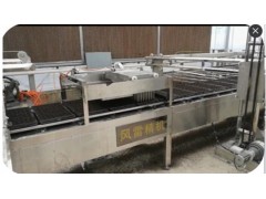 全自动播种机 全自动穴盘育苗播种机 全自动蔬菜生产线图1