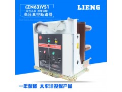 供应户内高压真空断路器ZN63(VS1)-12/1250图1