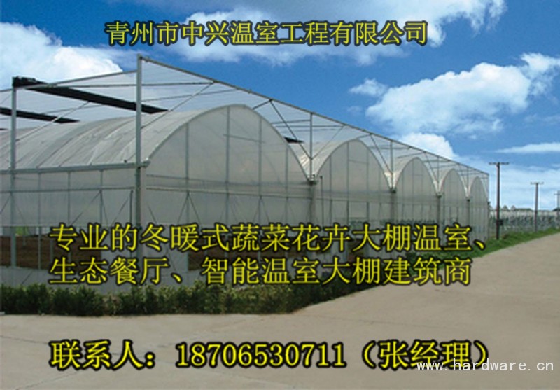 内蒙蔬菜种植智能温室大棚