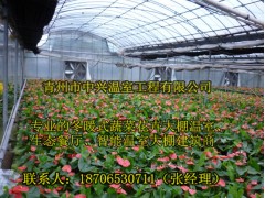 供应果树种植钢结构连栋温室大棚建造图1