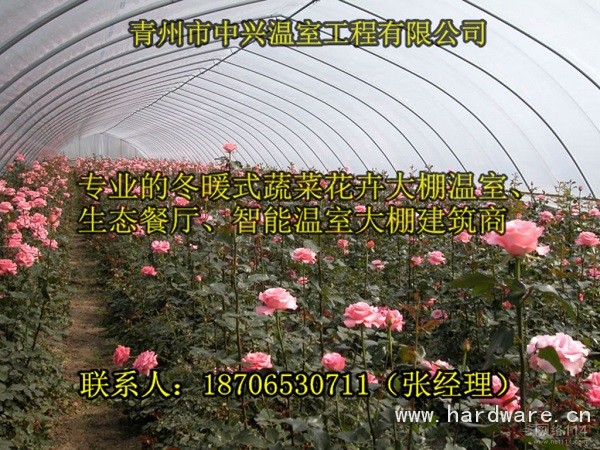 陕西钢骨架结构花卉温室大棚