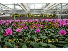 供应湛江花卉玻璃温室建造图1