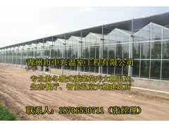 供应清远果树种植钢结构连栋温室大棚建造图1