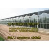 供应清远果树种植钢结构连栋温室大棚建造
