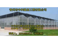 供应中山市梨树种植钢结构温室大棚建造图1