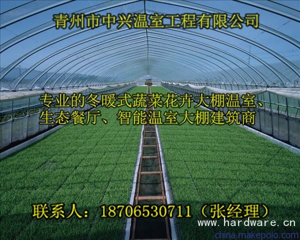 阳泉冬暖式蔬菜大棚