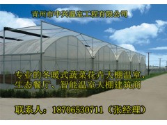 供应阳江苹果种植温室大棚建造图1
