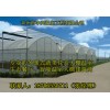 供应阳江苹果种植温室大棚建造
