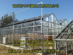 供应云浮大型玻璃温室展厅建造图1