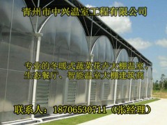 供应揭阳果树种植连栋薄膜温室大棚建造图1