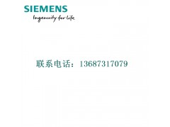 西门子6ES7 953-8LG11-0AA0图1