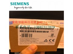 西门子模块6ES7 953-8LG11-0AA0图1