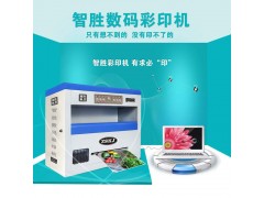 为创业者量身定做的数码彩印机可印菜谱图1