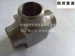 12Cr1MoVG锻制三通图1