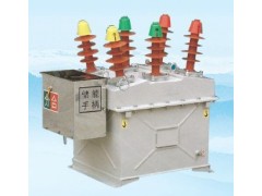 西安ZW8-12/630-25真空断路器价格图1