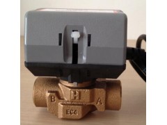 VC6013电动二通阀图1