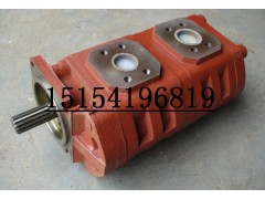 徐工起重机CBKP80/63液压齿轮泵价格图1