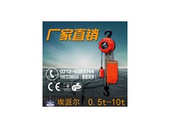电动葫芦厂家 环链电动葫芦哪家好图1
