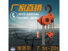 电动葫芦 群吊环链电动葫芦价格图1