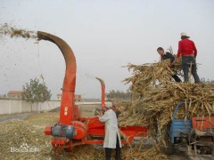 灵活调整恒昌大中型铡切设备图1