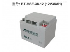 赛特蓄电池12V24AH图1
