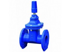 RVCX埋地式软密封闸阀-上海邯高阀门有限公司图1