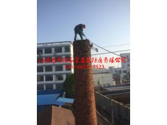 武汉烟囱机械拆除公司图1