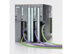 西门子6ES7455-1VS00-0AE0图1