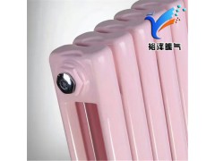 暖气片钢制水暖家用低碳钢散热器壁挂式钢二柱50*25大水道图1