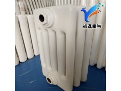 钢制柱暖气片 钢制散热器 钢制柱型 GZ5 钢五柱 水暖片图1