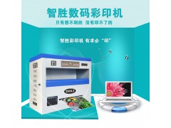 暑期游玩游乐园门票印制选择智胜数码彩印机图1