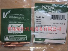 美国飞马特9-8215等离子电极图1