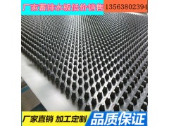 上海“楼顶花园阻根”排水板厂家（1400g带布）图1