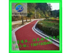 上海轩景供应彩色混凝土地坪 外形美观 绿色环保图1