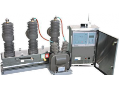 ZW32-12M户外永磁真空断路器报价图1